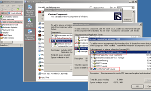 Howto add IIS FTP / HTTP service in Win2003